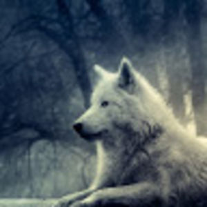 Meet your Posher, Bryan